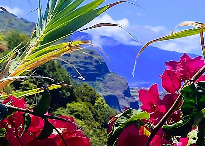 Bluegreen 4* Arco da Calheta (Madeira)