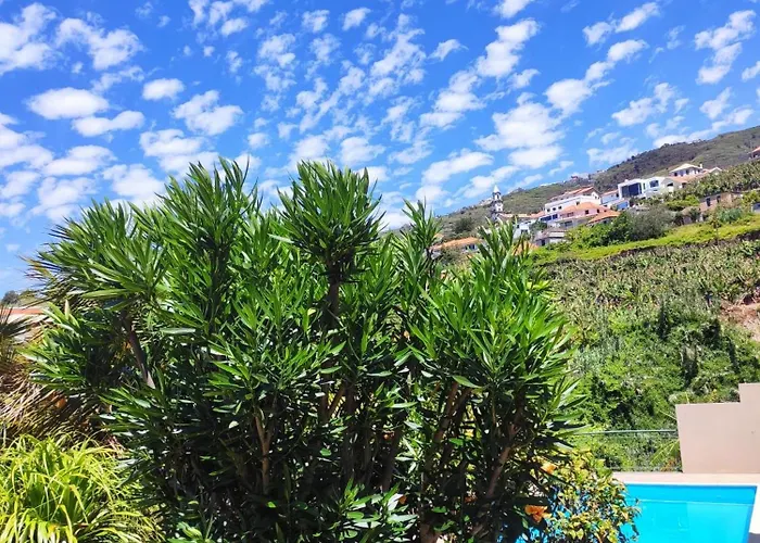 Bluegreen 招待所 阿科达卡列塔